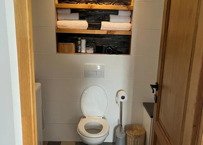 Διαμέρισμα Airport Κλουζ-Ναπόκα